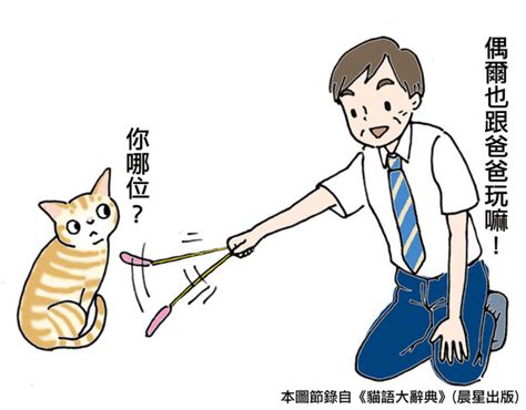 跑貓 意思|別讓貓不信任你！ 飼主常有的8大NG行為